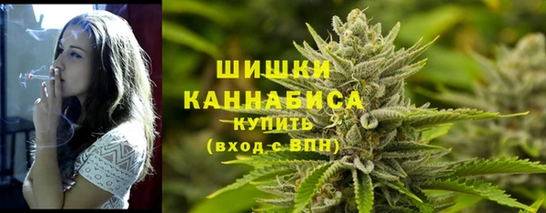 2c-b Богородицк